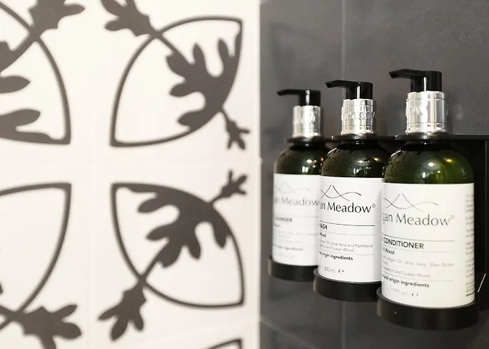 Okako San Sebastián