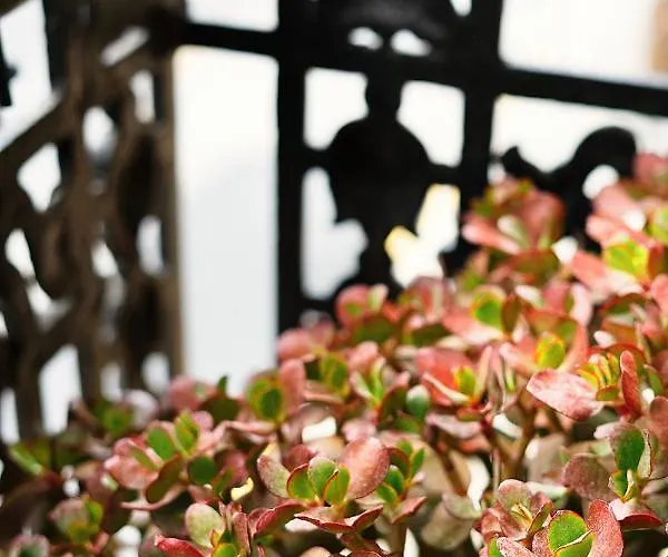 Okako 酒店 圣塞瓦斯蒂安