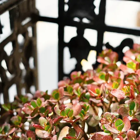 Okako * San Sebastian